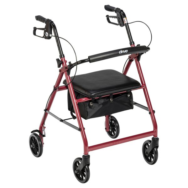 DAILYLIFE Rollator Walker歩行器 赤 Drive Medical Walker Rollator with 6